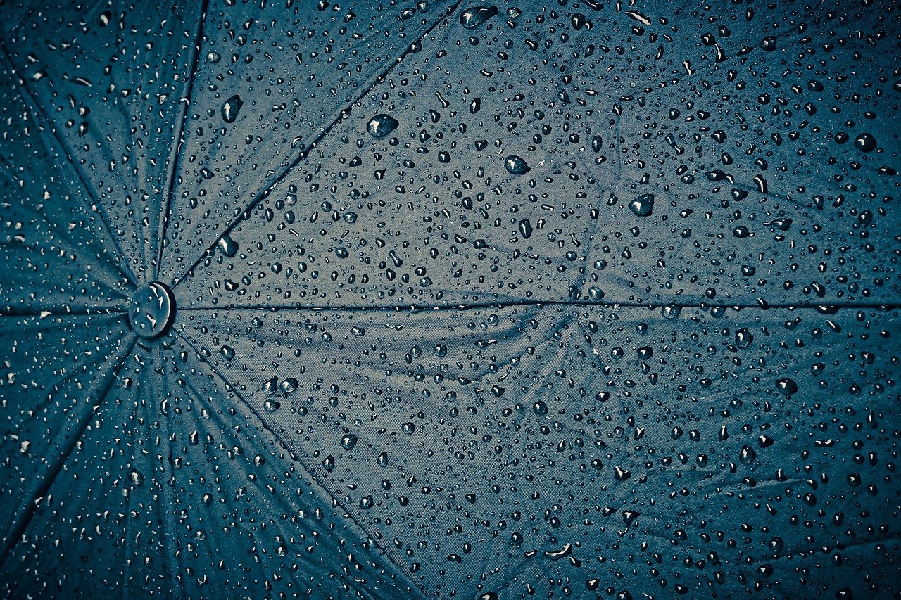 rain, screen, umbrella